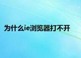 为什么ie浏览器打不开