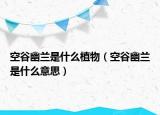 空谷幽兰是什么植物（空谷幽兰是什么意思）