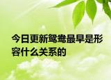 今日更新鸳鸯最早是形容什么关系的