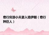奇行穷游小夫妻入境伊朗（奇行种巨人）
