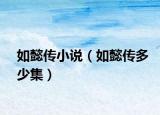 如懿传小说（如懿传多少集）