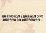 鹿胎膏作用和功效（鹿胎膏的功效与作用,鹿胎膏有什么功效,鹿胎膏有什么作用）