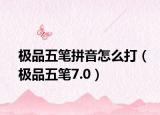 极品五笔拼音怎么打（极品五笔7.0）
