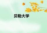 贝勒大学