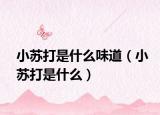 小苏打是什么味道（小苏打是什么）