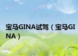 宝马GINA试驾（宝马GINA）