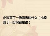小欢喜丁一扮演者叫什么（小欢喜丁一扮演者是谁）