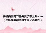 手机亮度调节器失灵了怎么办vivo（手机亮度调节器失灵了怎么办）