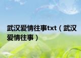 武汉爱情往事txt（武汉爱情往事）