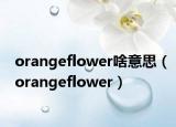 orangeflower啥意思（orangeflower）