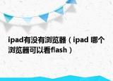 ipad有没有浏览器（ipad 哪个浏览器可以看flash）