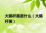 大肠杆菌是什么（大肠杆菌）