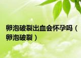 卵泡破裂出血会怀孕吗（卵泡破裂）