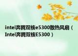 intel奔腾双核e5300散热风扇（Intel奔腾双核E5300）
