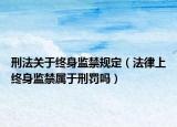 刑法关于终身监禁规定（法律上终身监禁属于刑罚吗）