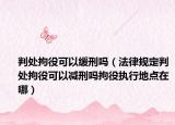 判处拘役可以缓刑吗（法律规定判处拘役可以减刑吗拘役执行地点在哪）