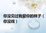 你没见过我爱你的样子（你没戏）