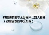 微信朋友圈怎么分组不让别人看到（微信朋友圈怎么分组）