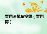贾翔涛飙车视频（贾翔涛）