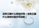 洛克王国什么宠物好用（洛克王国什么宠物好最好带招数）
