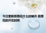 今日更新蔷薇花什么时候开 蔷薇花的开花时间