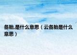 备胎,是什么意思（云备胎是什么意思）