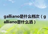 galliano是什么档次（galliano是什么酒）