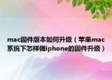 mac固件版本如何升级（苹果mac系统下怎样做iphone的固件升级）