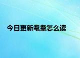 今日更新耄耋怎么读