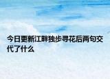 今日更新江畔独步寻花后两句交代了什么