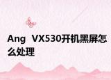 Ang  VX530开机黑屏怎么处理