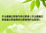 什么是省公积金与市公积金（什么是省公积金省公积金和市公积金有什么区别）