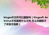 kingsoft文件可以删除吗（Kingsoft Antivirus不知道是什么文件,怎么也删除不了求高手指教）