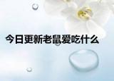今日更新老鼠爱吃什么