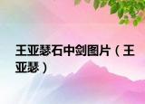 王亚瑟石中剑图片（王亚瑟）