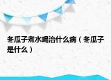 冬瓜子煮水喝治什么病（冬瓜子是什么）