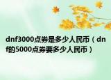 dnf3000点券是多少人民币（dnf的5000点券要多少人民币）