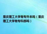 重庆理工大学有专升本吗（重庆理工大学有专科部吗）
