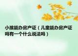 小孩能办房产证（儿童能办房产证吗有一个什么说法吗）