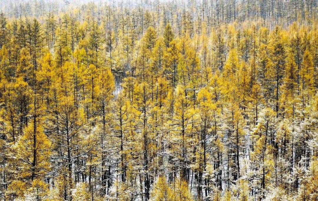 10月最佳旅行地推荐！别再去人挤人，这10个地方看最美秋色