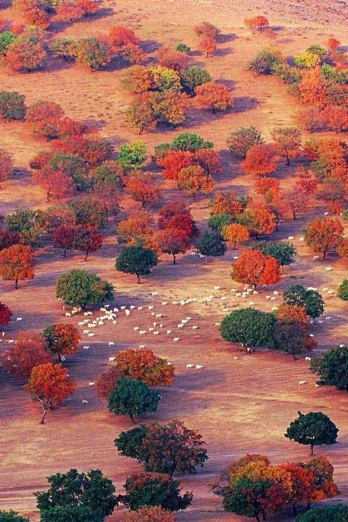 10月最佳旅行地推荐！别再去人挤人，这10个地方看最美秋色