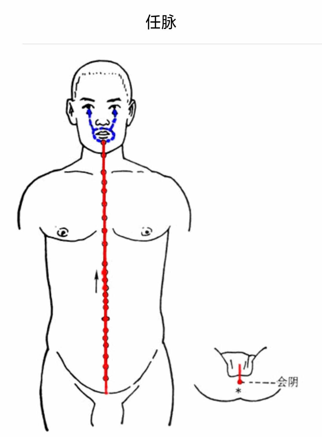 白话解读“十四正经”的循行路线