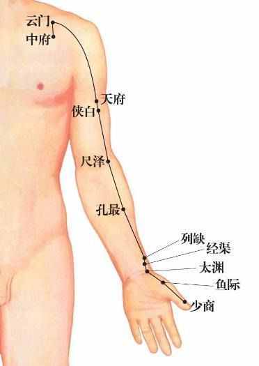 白话解读“十四正经”的循行路线