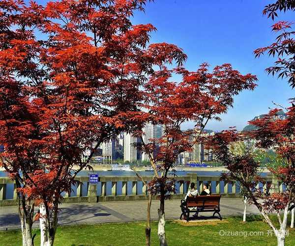 新年伊始下一句是什么