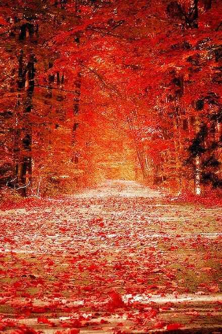 心灵鸡汤是指那些看上去很有道理