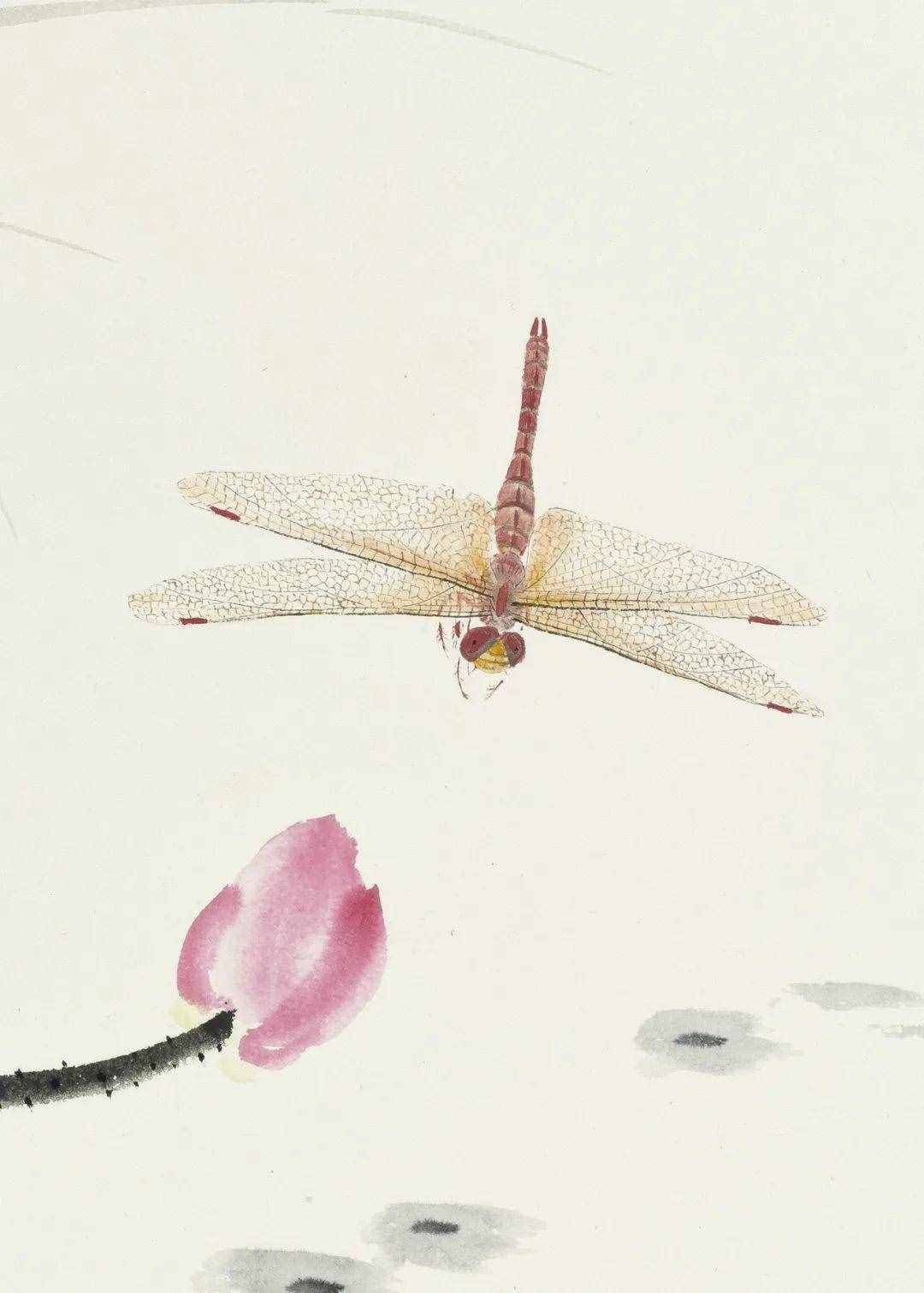 李亚笔下的草虫丨私享·艺术家
