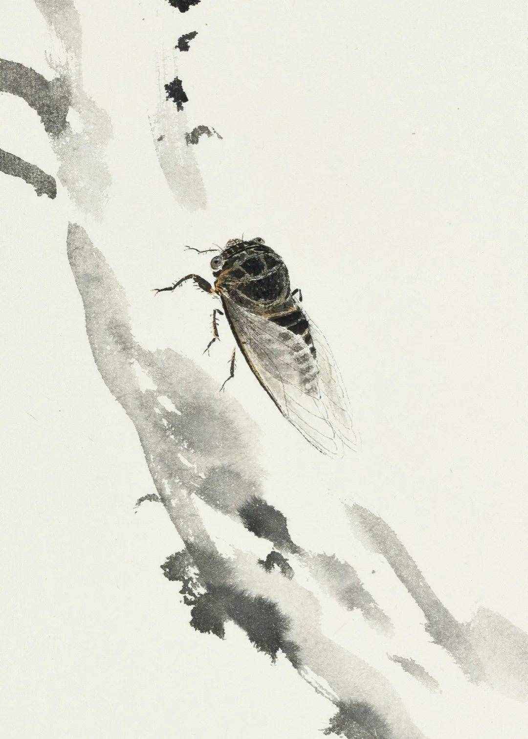 李亚笔下的草虫丨私享·艺术家