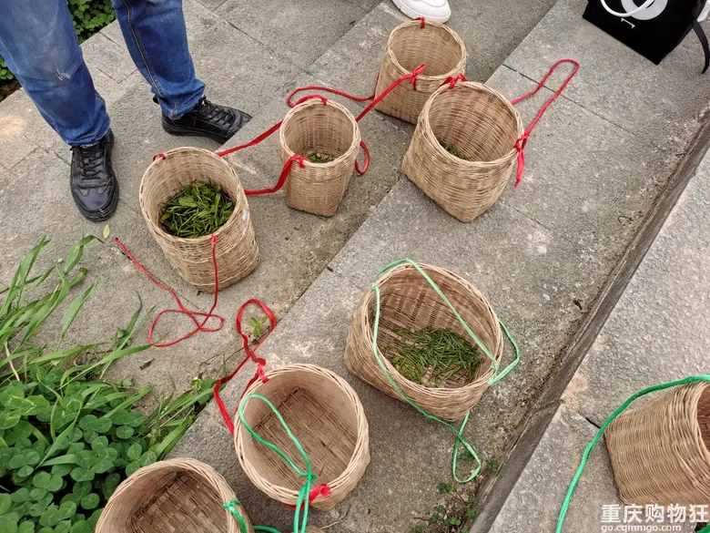 重庆这个茶园号称“中国版斯里兰卡”，可采茶制茶，风景如画