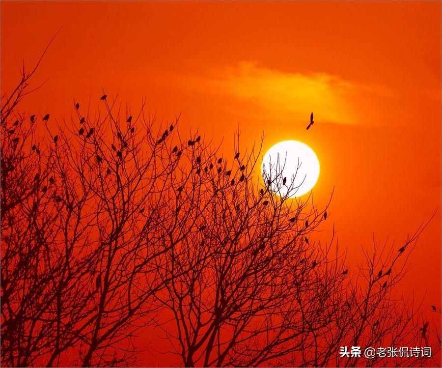 这是多美的情诗啊：“晓看天色暮看云，行也思君，坐也思君”