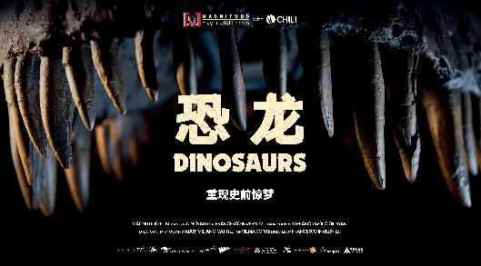 4k看莫奈睡莲，用AI分析达芬奇